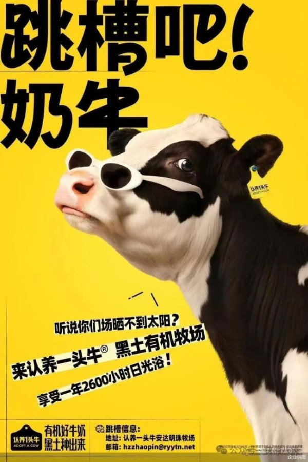 千汇网 从爆款到翻车，认养一头牛营销玩脱了