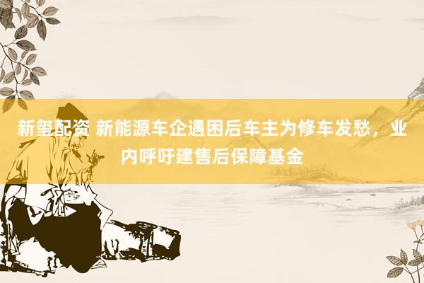 新玺配资 新能源车企遇困后车主为修车发愁，业内呼吁建售后保障基金