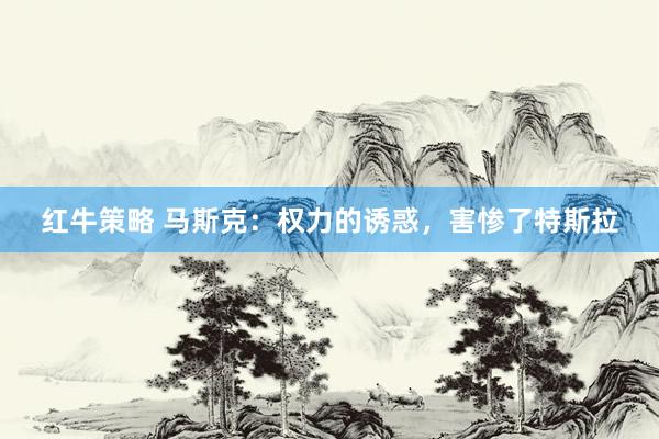红牛策略 马斯克：权力的诱惑，害惨了特斯拉