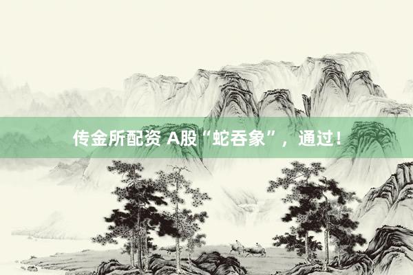 传金所配资 A股“蛇吞象”，通过！