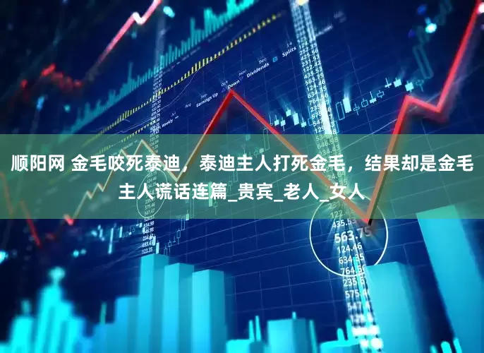 顺阳网 金毛咬死泰迪，泰迪主人打死金毛，结果却是金毛主人谎话连篇_贵宾_老人_女人