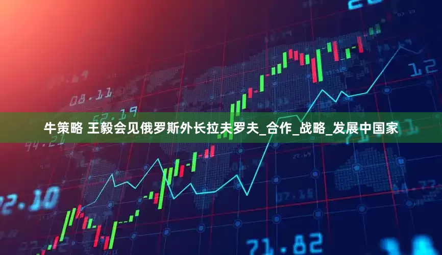 牛策略 王毅会见俄罗斯外长拉夫罗夫_合作_战略_发展中国家