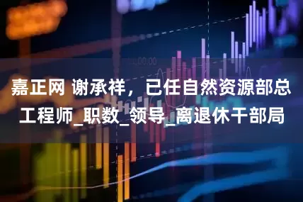 嘉正网 谢承祥，已任自然资源部总工程师_职数_领导_离退休干部局