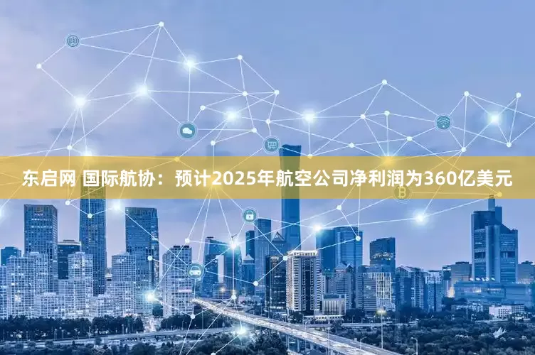 东启网 国际航协：预计2025年航空公司净利润为360亿美元