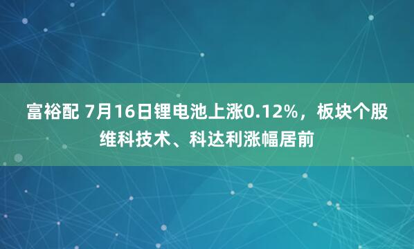 富裕配 7月16日锂电池上涨0.12%，板块个股维科技术、科达利涨幅居前